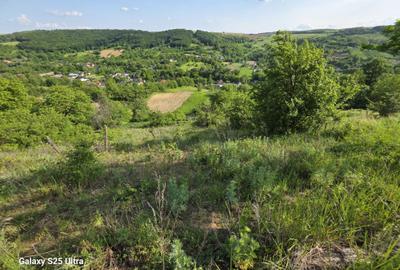 Teren de 3600 mp, în Parava - 4