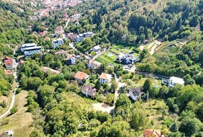 Teren intravilan Brasovul Vechi - 23