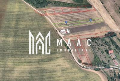 Teren agricol extravilan de 651 mp, în Rusciori - 10