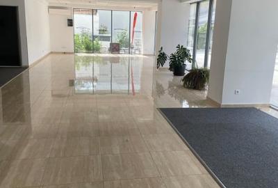 SPATIU DE INCHIRIAT TIMURI NOI-TINERETULUI - 1