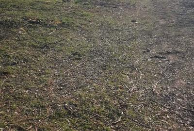 Spațiu comercial, în Lupăria - 5