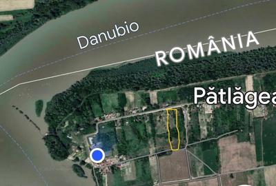 Teren de 8800 mp, în Pătlăgeanca - 9