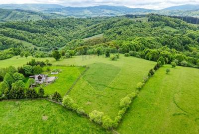 Teren de vanzare 5,755mp/ Sita Buzaului - 7