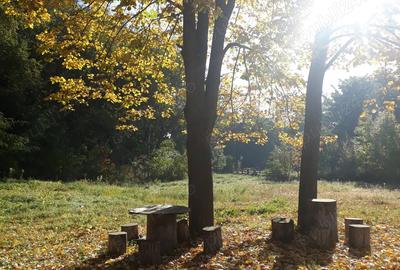 Cabana de lemn Racoasa, judet Vrancea - 4