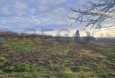 Teren în Cetariu - 6