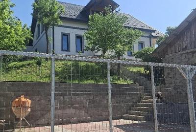 Casă cu Teren 2860 Mp în Țigănași - 9