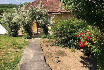 Casă cu 4 camere în Argetoaia - 8