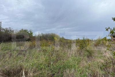 Teren 3400 mp, zona Carcea la E70/str Craiovei - 3