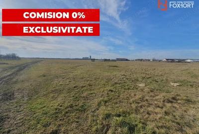 COMISION 0% Teren intravilan 6400 mp la drum asfaltat - Padureni - 1