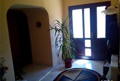 Casă cu 6 camere cu Teren 4000 Mp în Săvârșin - 10