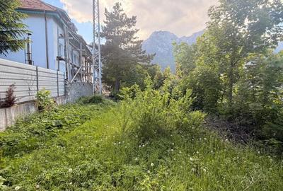 Casă cu 3 camere în Central - 5