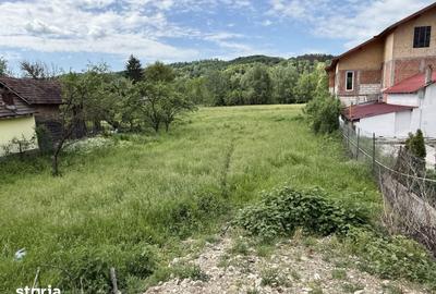 Teren de 1200 mp, în Provița de Sus - 10