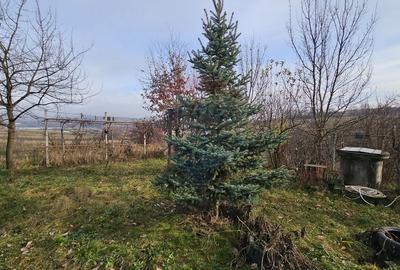 Teren extravilan 10,791mp Falticeni / Strada DJ209A, Opriseni - 10