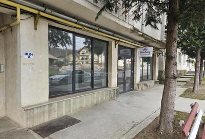 Spatiu comercial de inchiriat 110 mp Central Fieni - 9