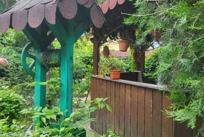 Casă cu 5 camere în Slătioara - 3