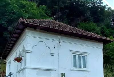 Casă cu 3 camere cu Teren 1000 Mp în Sălătrucu - 1