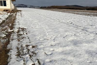 Teren Construcții extravilan de 2250 mp, în Central - 2