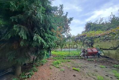 Casa 3 dormitoare, curte 60mp, parcare, langa UMF! - 4