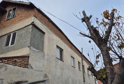 P+1+M | VILA | SPATIU COMERCIAL | INVESTITIE - 3