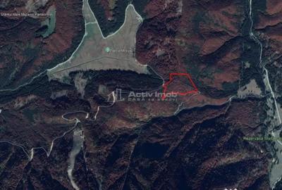 Teren de 69450 mp, în Arefu - 5