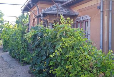 Casă cu 6 camere în Giubega - 5