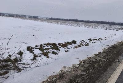 Teren de 6000 mp, în Horodnic - 1