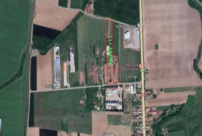 Teren Biharia la 1km de Autostrada A3 - 2