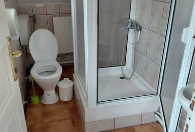 Casă cu 4 camere cu Teren 1000 Mp în Vințu de Jos - 3