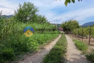 Teren intravilan com. Alexandru cel Bun- Viisoara - 12