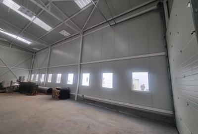 Spațiu industrial, de 200 mp, în Măgurele - 3