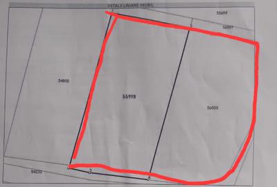 Spațiu comercial, în Corunca