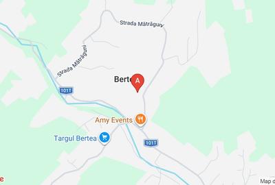 Casă cu 4 camere cu Teren 237 Mp în Bertea - 1