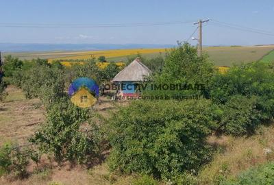 Teren de vanzare - Margineni 5920 mp - 4