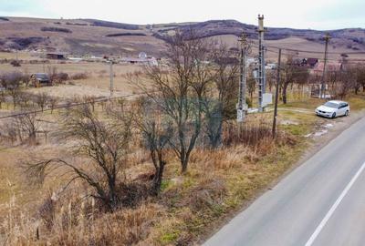 Teren Construcții intravilan de 1500 mp, în Bonț - 5