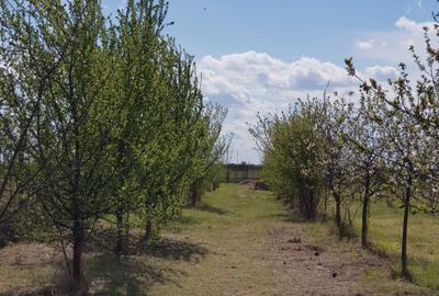 Casă cu 2 camere în Uliești - 6