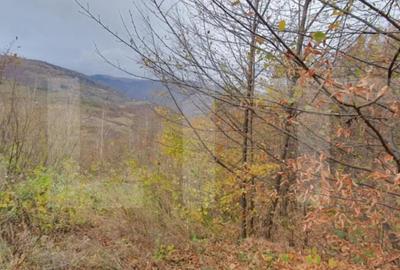 Teren de 3000 mp, în Mănăștur