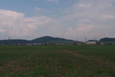 Teren sanpetru sere
