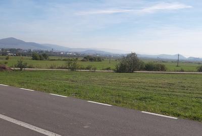 Teren extravilan de 9200 mp, în Băile Miercurea - 3