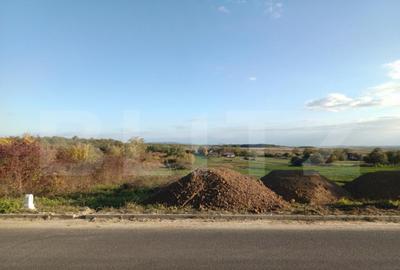 Teren intravilan de vanzare, 1918 mp, Ardud - 1