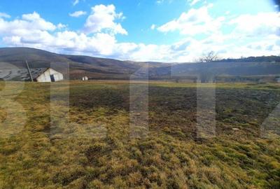 Ferma in intravilanul comunei Cojocna, 5 Ha cu hale - 4