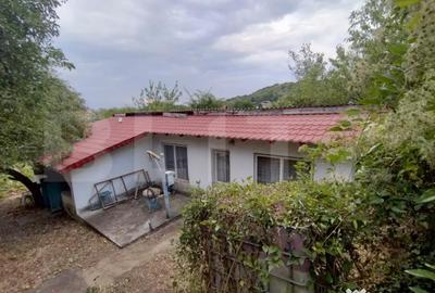 Casă cu 3 camere cu Teren 1167 Mp în Leamna de Jos - 3