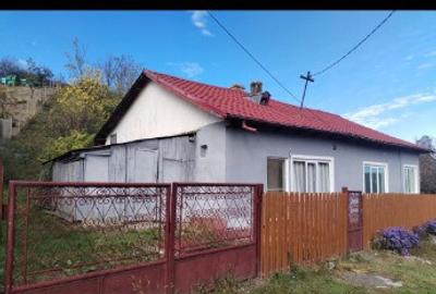 Casa batraneasca Cotesti - 2