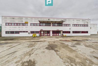 Hală de producție, cu birouri și teren, în Sebiș - 1