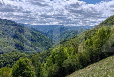 Teren de 7055 mp, în Vale - 11