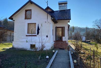 Casă cu 3 camere cu Teren 1008 Mp în Coșești - 2