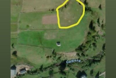 Teren Construcții intravilan de 12500 mp, în Galbena - 16