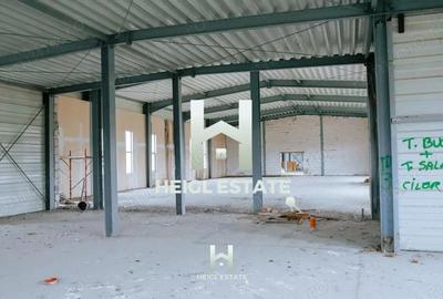 Casă cu Teren 6802 Mp în Albina - 1