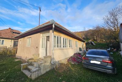 Casă individuală cu 4 camere cu Teren 1116 Mp în Valea Doftanei - 2