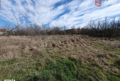 Spațiu comercial, în Jebel - 2