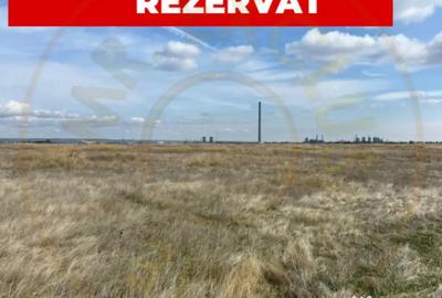 Teren de 10000 mp, în Albota - 3